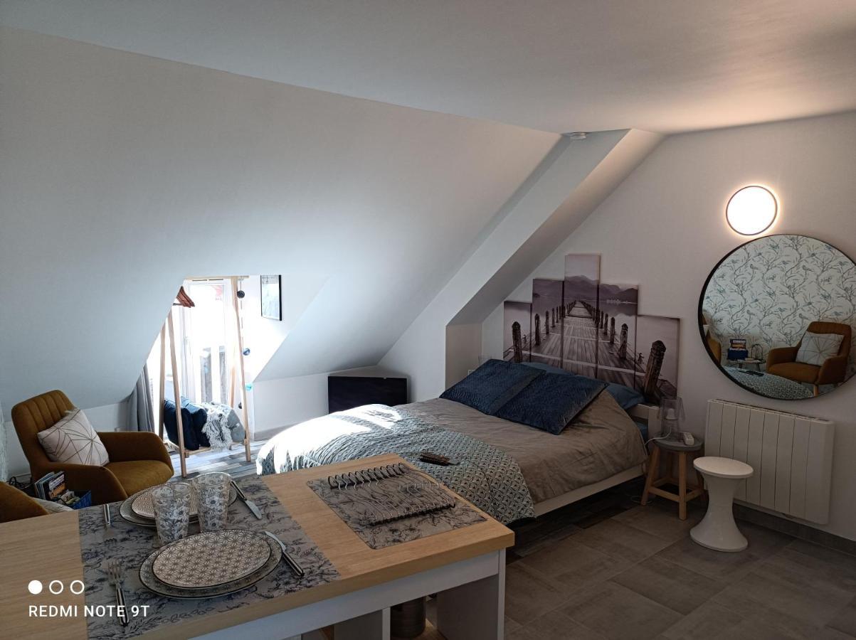 Tres Beau Studio Climatisation, Trois Etoiles, Parking A Velo, Velos En Option, Parking Prive Jardin Montargis Exterior foto